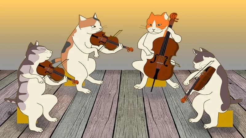 Cellist cats